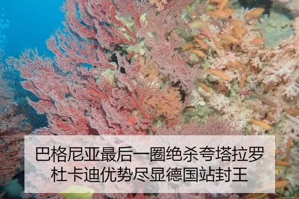 巴格尼亚最后一圈绝杀夸塔拉罗 杜卡迪优势尽显德国站封王